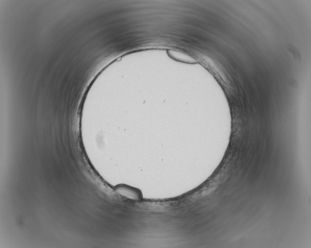 X0000110860900200907301349