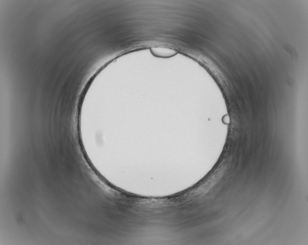 X0000110860902200907301349