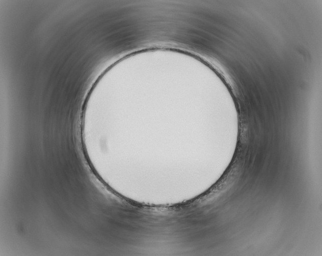 X0000110860903200907301349
