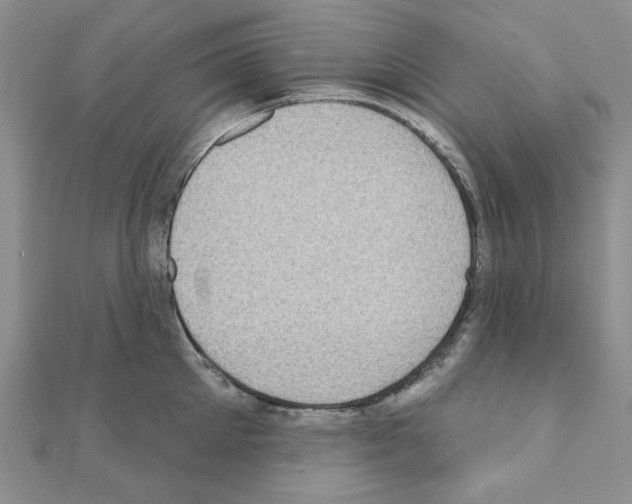 X0000110860905200907301349