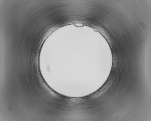 X0000110860906200907301349