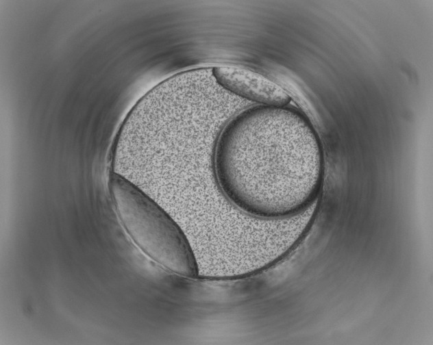 X0000110860908200907301349