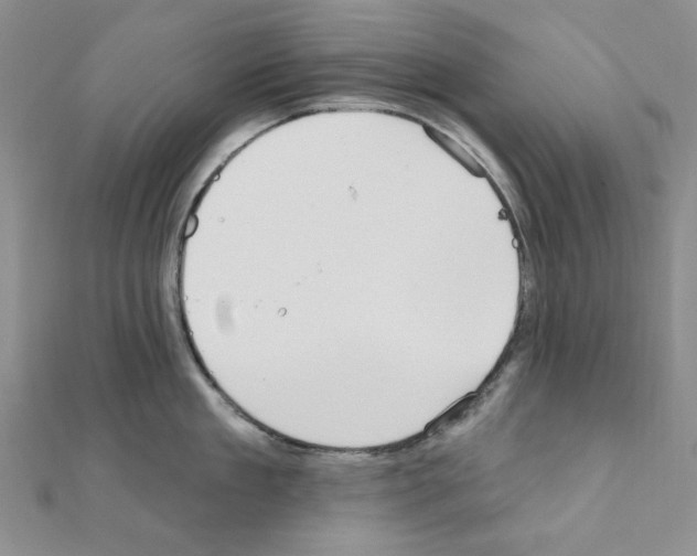 X0000110860909200907301349