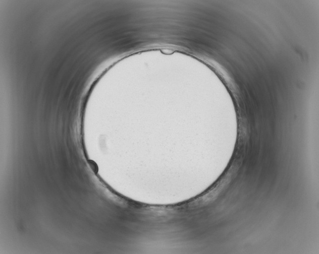 X0000110860910200907301349