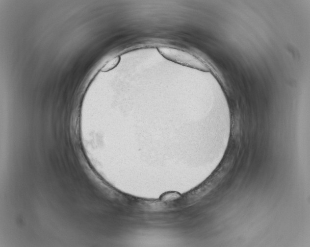 X0000110860911200907301349