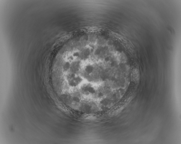 X0000110860913200907301349