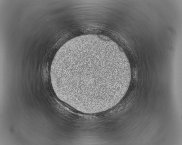 X0000110860915200907301349