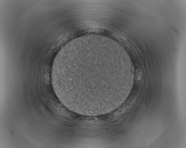 X0000110860916200907301349