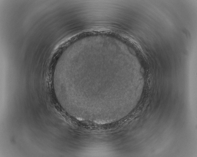 X0000110860920200907301349