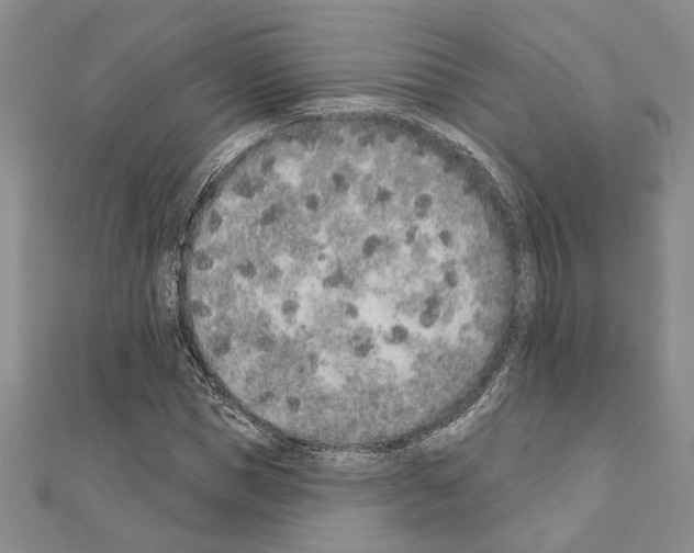 X0000110860921200907301349
