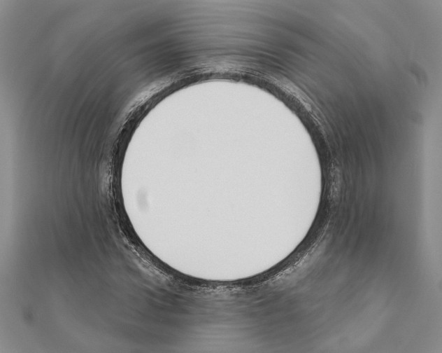 X0000110860922200907301349