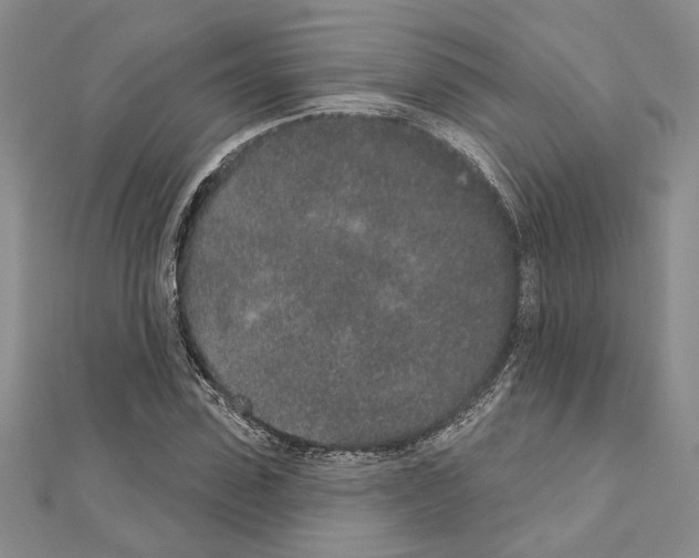 X0000110860923200907301349