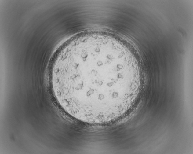 X0000110860925200907301349