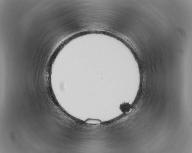 X0000110860926200907301349