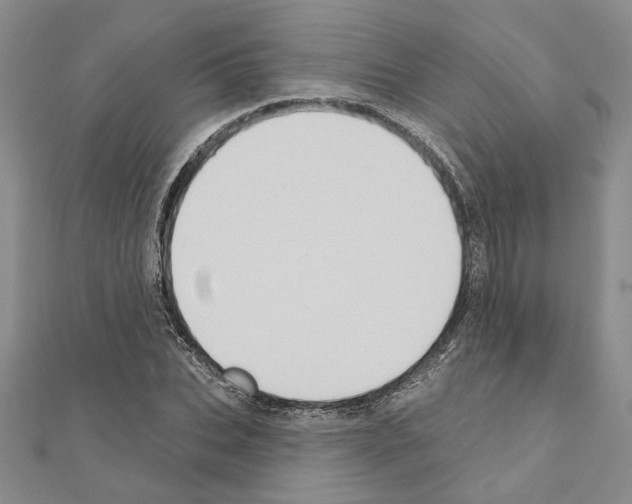 X0000110860927200907301349