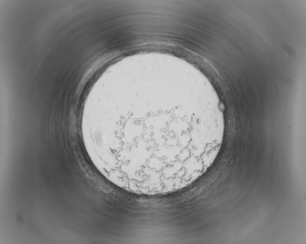 X0000110860928200907301349
