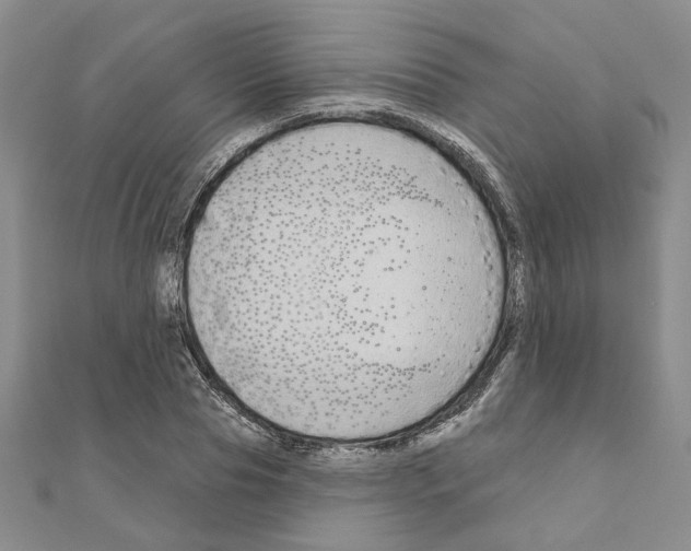 X0000110860929200907301349