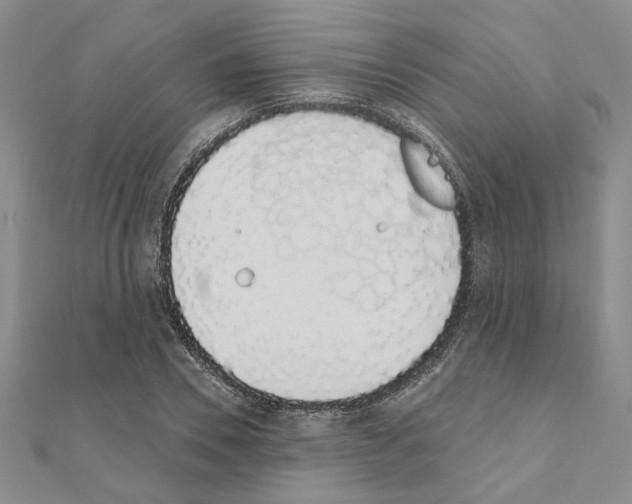 X0000110860930200907301349