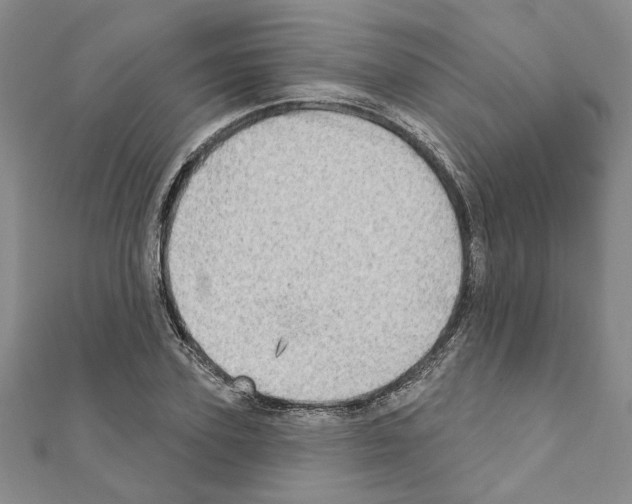 X0000110860931200907301349