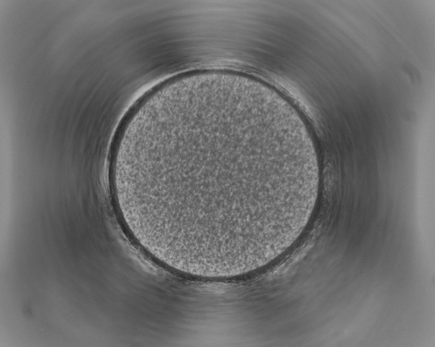X0000110860932200907301349
