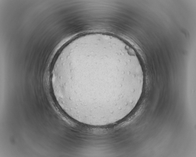 X0000110860933200907301349