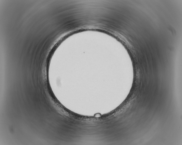 X0000110860934200907301349