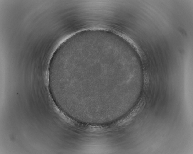 X0000110860935200907301349