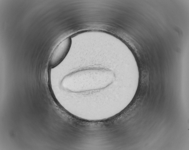 X0000110860936200907301349