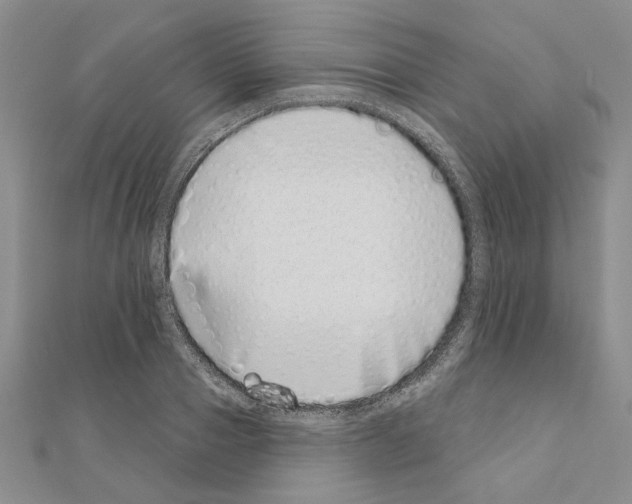 X0000110860937200907301349