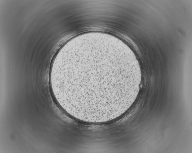 X0000110860938200907301349