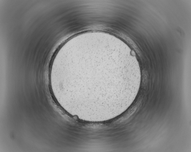 X0000110860939200907301349