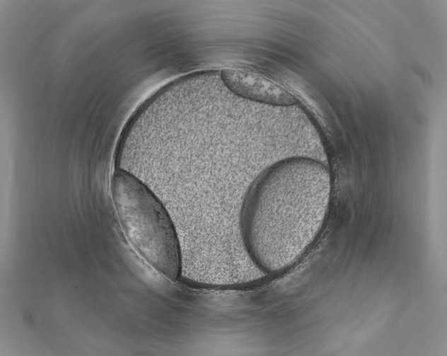 X0000110860940200907301349
