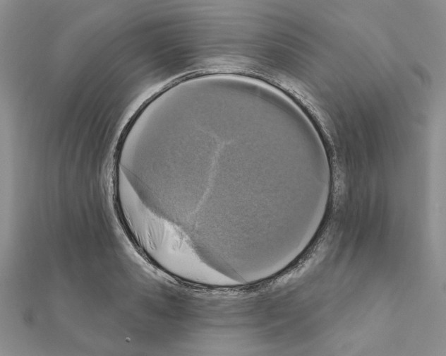 X0000110860941200907301349