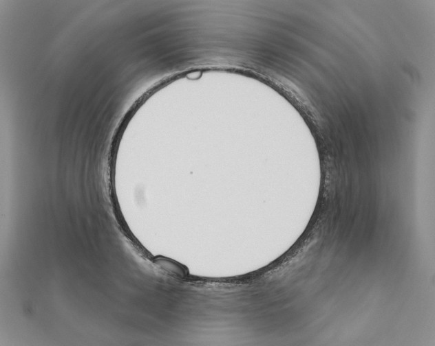 X0000110860942200907301349