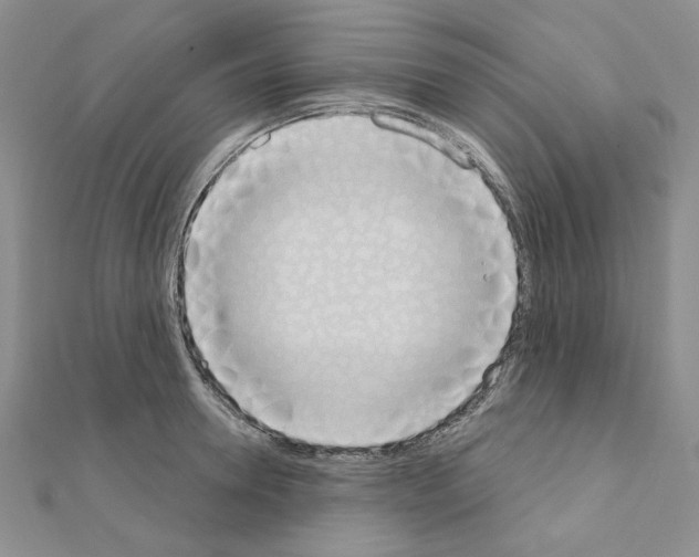 X0000110860946200907301349