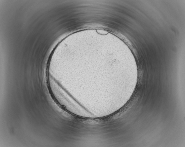 X0000110860947200907301349