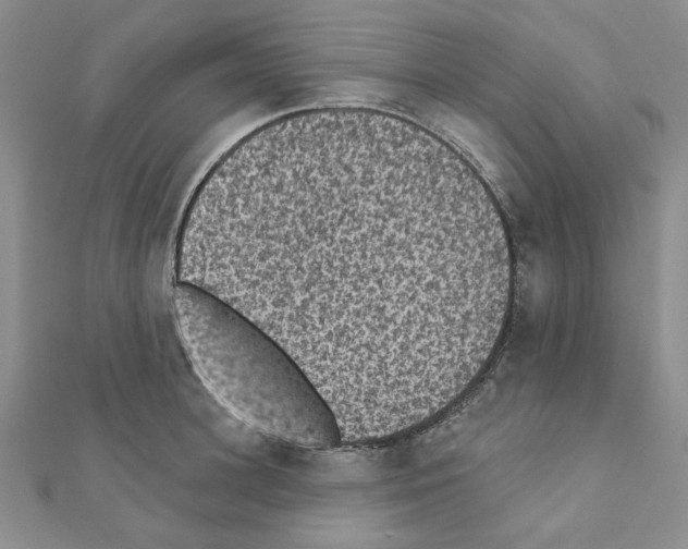 X0000110860948200907301349