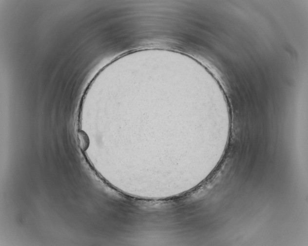 X0000110860949200907301349