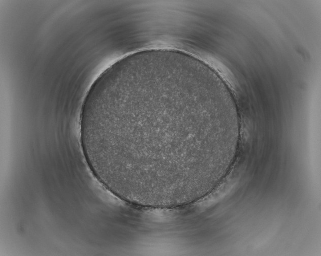 X0000110860950200907301349
