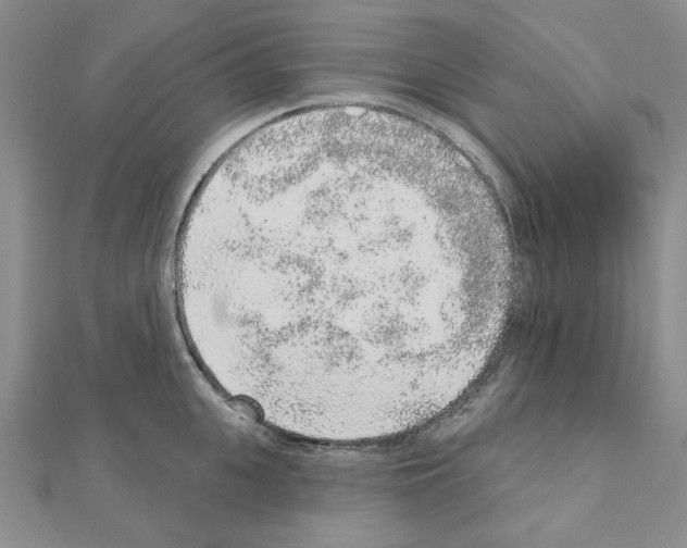 X0000110860951200907301349