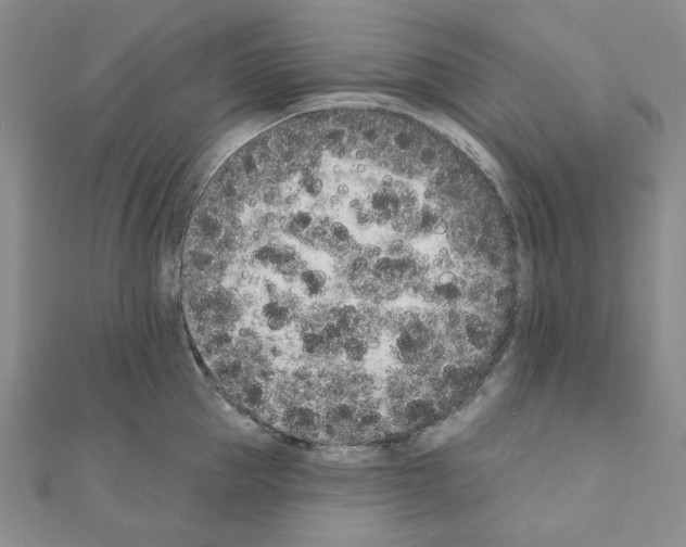 X0000110860953200907301349