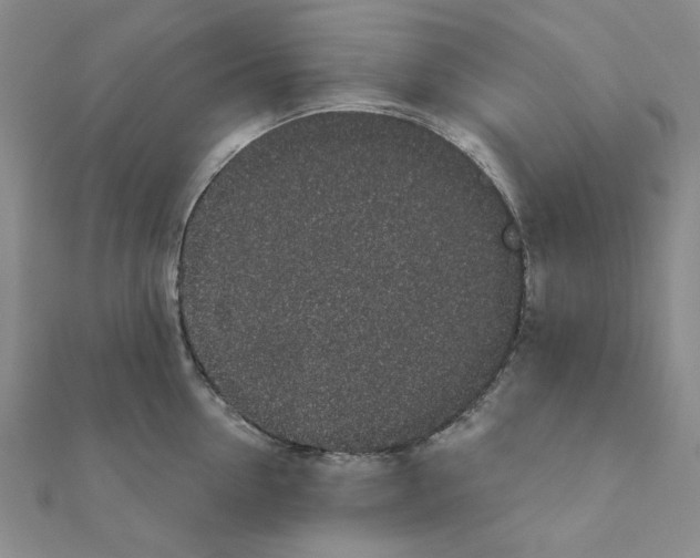 X0000110860954200907301349