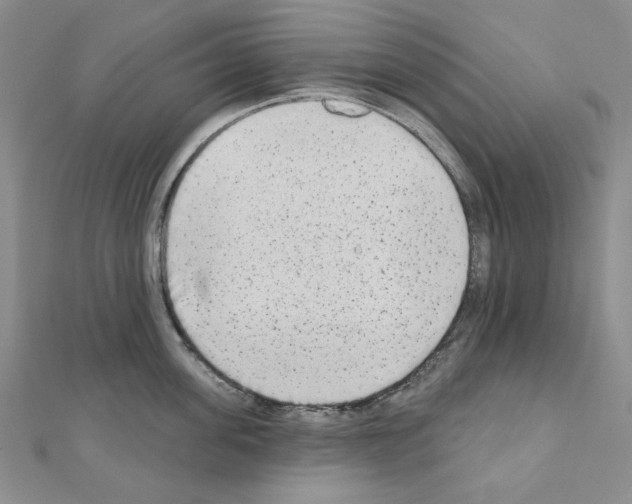 X0000110860955200907301349