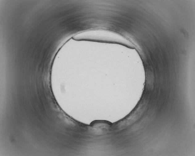 X0000110860956200907301349