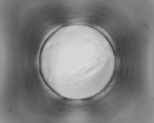 X0000110860957200907301349