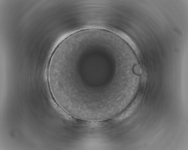 X0000110860958200907301349