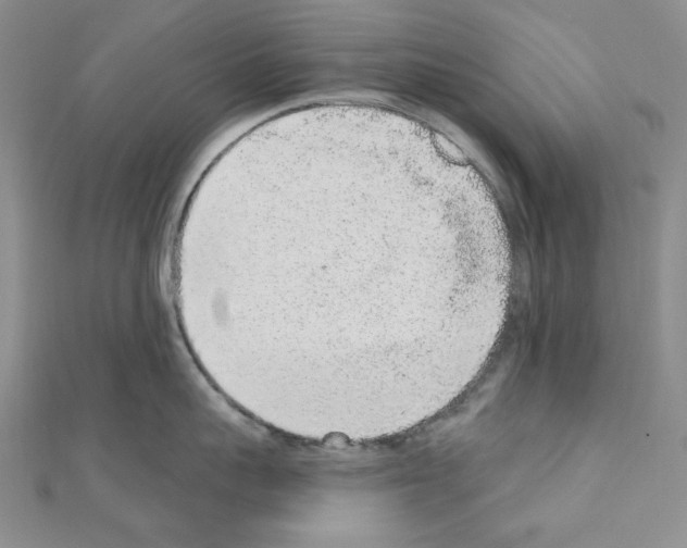 X0000110860959200907301349