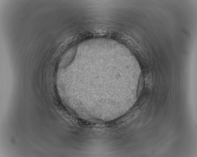 X0000110860961200907301349