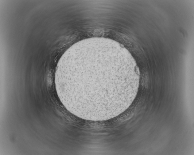 X0000110860962200907301349