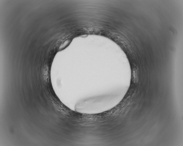X0000110860963200907301349